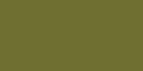 Jacquard Sneaker Series Neopaque Paint, Highly Pigmented, Flexible and Soft, For Use on a Variety of Surfaces, 2.25 Ounces, Military Green...