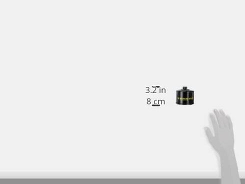 HiFloFiltro HF160RC Black RC High Performance Premium Oil Filter, Single...