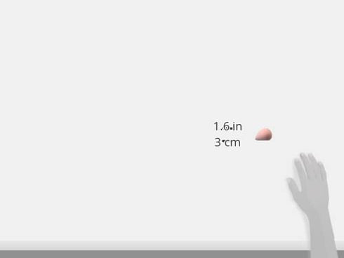 wet n wild Makeup Sponge - Low Product Absorption for Streak-Free Application, Effortless Blending Beauty for a Smooth Professional Looking Finish...