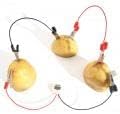 FTVOGUE Potato Battery Science Kit Bio Energy Science Kit for DIY Teaching Toy, School Science Project, Greeting Cards/Party Supplies...