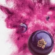 Blackcurrant Powder 1.8oz | Organic New Zealand Grown | High in Vitamin C and Anthocyanins | Non GMO | Smoothies and Breakfasts...