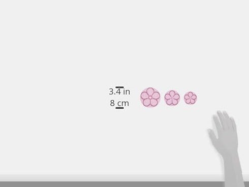 PME JEM Easy Rose Fondant Cutters, Set of 3, Standard, White...