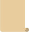 Siser EasyWeed Heat Transfer Vinyl HTV,Iron-on,12 inchs (Actual size:11.8") by 3 Feet Roll,for T-Shirts(Cream)...