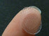 EarLite 180 (60 Ea X 3 packs) Invisible Earring Ear Support Waterproof Patches in ZipLock Pouch - Made in USA...