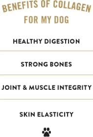 Collagen Chips Peanut Butter, Healthy Joint Support Dog Treat, Rawhide Alternative, Skin & Coat Health, Made with Real Peanut Butter, 1 Bag, 8.2 o...