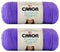 Bulk Buy: Caron Simply Soft Yarn Solids (2-Pack) (Grape)......
