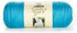 Bulk Buy: Caron Simply Soft Yarn Solids (2-Pack) (Blue Mint)......