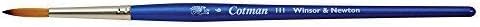 Winsor & Newton Cotman Water Colour Series 111 Short Handle Synthetic Brush, SH #6...