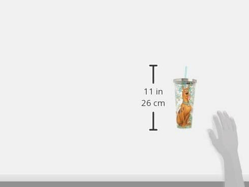 Spoontiques - Glitter Filled Acrylic Tumbler - Glitter Cup with Straw - 20 oz?- Stainless Steel Locking Lid with Straw - Double Wall Insulated - B...