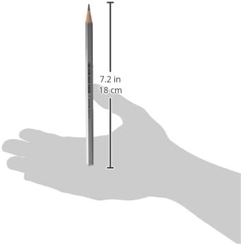Caran d'Ache Grafwood Graphite Pencil - B (775.251)...