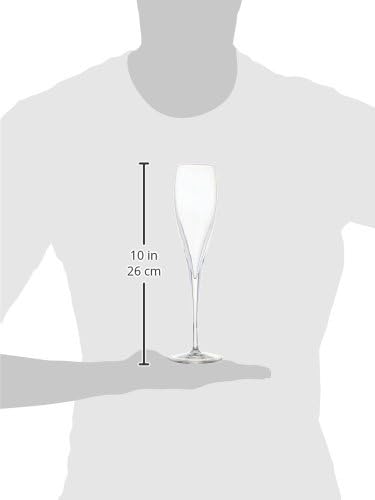 Luigi Bormioli Styles 6 oz Sparkling Wine Glasses (Set Of 2), Clear...