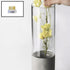 Mini Kenzan Pin Frog 23mm/0.9inch Diameter Floral Ikebana Flower Arranger Holder for Small Vase (5Pcs)...