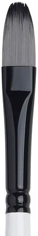Winsor & Newton Artists' Acrylic Brush, Size 10, Filbert...