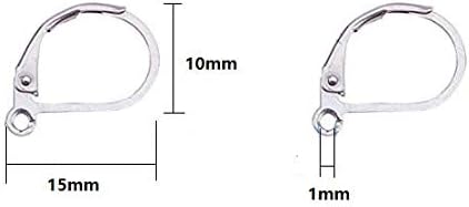 50PCS Silver 304 Stainless Steel Lever Back Earrings Earwire Findings for Earring Making,DIY Accessories,10x15mm...