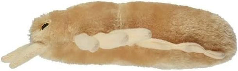 Giant Microbes Louse Plush – Learn About Lice and How to Treat Them, Fun Educational Gift for Family, Friends Doctors, Nurses, Scientists, Insect ...