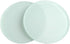 1pc 3-3/4" PP-95 Diameter 95mm Microscope Specimen Stage Translucent Frosted Glass Working Stage Round Specimen Plate for Stereo Microscope...