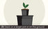 The HC Companies 2.75 Quart Rapid Stack Plastic Planter - Heavy-Duty Plastic Planter for Outdoor Garden Plants Flowers Herbs with Drainage Holes, ...