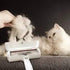 pet Hair Remover Roller, for Indoor use on All furinutre and car....