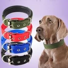 4Pets Heavy Duty Dog Collar for Medium to Large Dogs (2.5CM - Medium)...