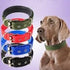 4Pets Heavy Duty Dog Collar for Medium to Large Dogs (2.5CM - Medium)...