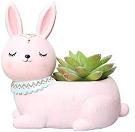 Pink Rabbit Succulent Planter Pots for Office House Balcony Landscape Creative Decorative Flower Pots (1, Pink Rabbit)...