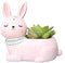 Pink Rabbit Succulent Planter Pots for Office House Balcony Landscape Creative Decorative Flower Pots (1, Pink Rabbit)...