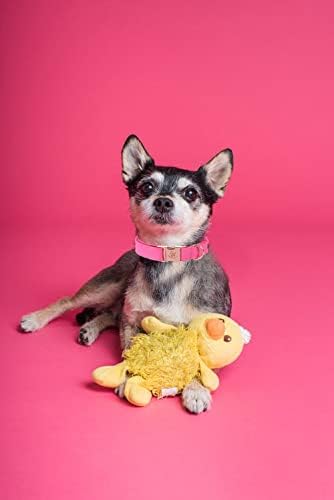 Elegant little tail Pink Dog Collar and Leash, Durable Pet Collar, Leather Dog Collar Adjustable Girl Dog Collars for Medium Dogs...