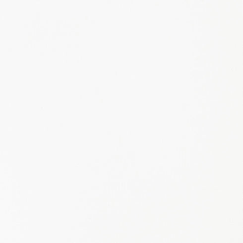 Liquitex BASICS Acrylic Fluid Paint, 250ml (8.5-oz) Bottle, Titanium White...