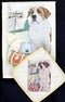 Saint Bernard Dish Towel & Potholder...