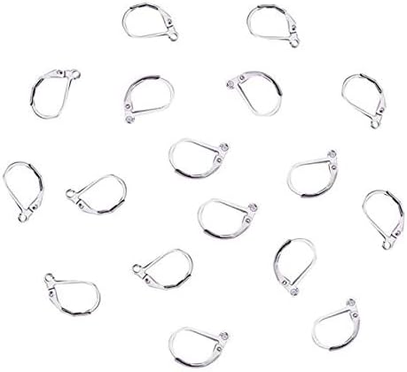 50PCS Silver 304 Stainless Steel Lever Back Earrings Earwire Findings for Earring Making,DIY Accessories,10x15mm...