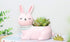 Pink Rabbit Succulent Planter Pots for Office House Balcony Landscape Creative Decorative Flower Pots (1, Pink Rabbit)...