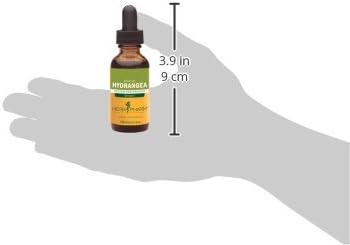 Herb Pharm Hydrangea Liquid Extract for Urinary System Support, 1 Fl Oz...