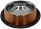 Danner Manufacturing, Inc. Stainless Steel, Anti-Skid Pet Bowl, Autumn Orange, 32 Oz.,73030...