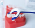 Paro Floss Holder and Paro Riser Floss Mint, Waxed, Fluoridated, Floss 50M...
