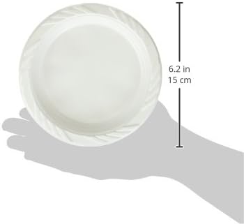 Blue Sky 100 Count Disposable Plastic Plates, 6-Inch, White...