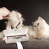 Pet Hair Remover - Lint Roller for Dog and Cat Hair | Portable, Reusable, Eco-Friendly Pet Hair Remover Brush for Couches, Carpet, Bedding, Clothe...