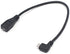 RIIPOO Micro USB Extension Cable Right Angle Micro B USB Extension Cable, 25 CM, Micro USB 5 Pin Male to Female, Sync Charging and Data Transferri...