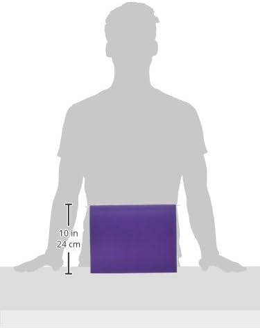 School Smart Letter Size Hanging File Folders with 1/5 Cut Tab - Pack of 25 - Purple - 085112...