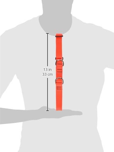LupinePet Basics 1" Blaze Orange 19-27" Martingale Collar for Large Dogs...