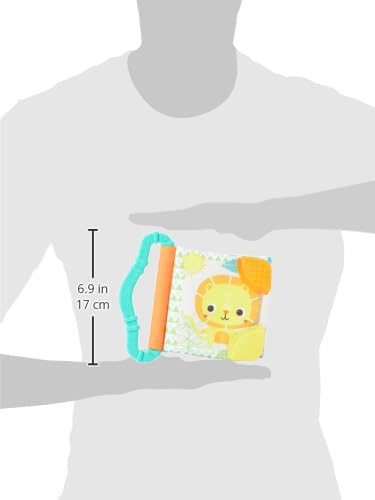 Bright Starts Teethe & Read Soft Book Toy, Ages 3 Months +, Style May Vary...