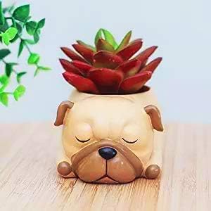 Cute Pug Planter Pots for Office,Window,Kitchen and Balcony...