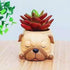 Cute Pug Planter Pots for Office,Window,Kitchen and Balcony...