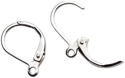50PCS Silver 304 Stainless Steel Lever Back Earrings Earwire Findings for Earring Making,DIY Accessories,10x15mm...