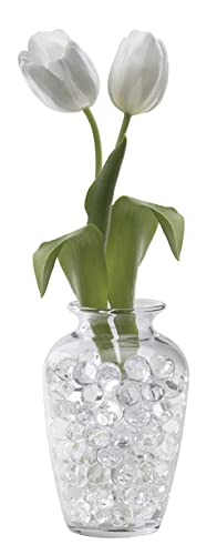 8 Ounce Jar Makes Over 6 Six Gallons - Beads Hold Water...