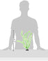 Penn-Plax Aqua-Plants Plastic Aquarium 3 Piece Plant Bundle – Realistic Appearance and Gentle Texture – Green – 16” Height...