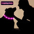 3 Pieces LED Dog Collar Light Up Dog Collars Rechargeable Dog Lights for Night Walking Adjustable Lighted Dog Collars for Night for Large Medium S...
