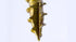 GRK Fasteners 103099 R4#9 x 2" Screws 110CT...