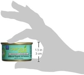 California Scents Spillproof Can Air Freshener Eco-Friendly Odor Neutralizer for Home, Car, Much More, Desert Jasmine, 1.5 oz, 12 Pack...
