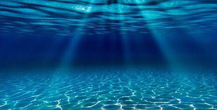 Natural Undersea Aquarium Background, Underwater Ocean Sunlight Fish Tank Background 48X24IN with 8 EVA Double-Sided Tape...