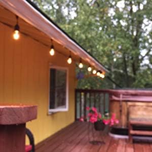 S14 Clear String Light Bulbs, 2W Plastic LED Replacement Bulbs for Outdoor Patio String Lights with E26 Base, Pack of 25...
